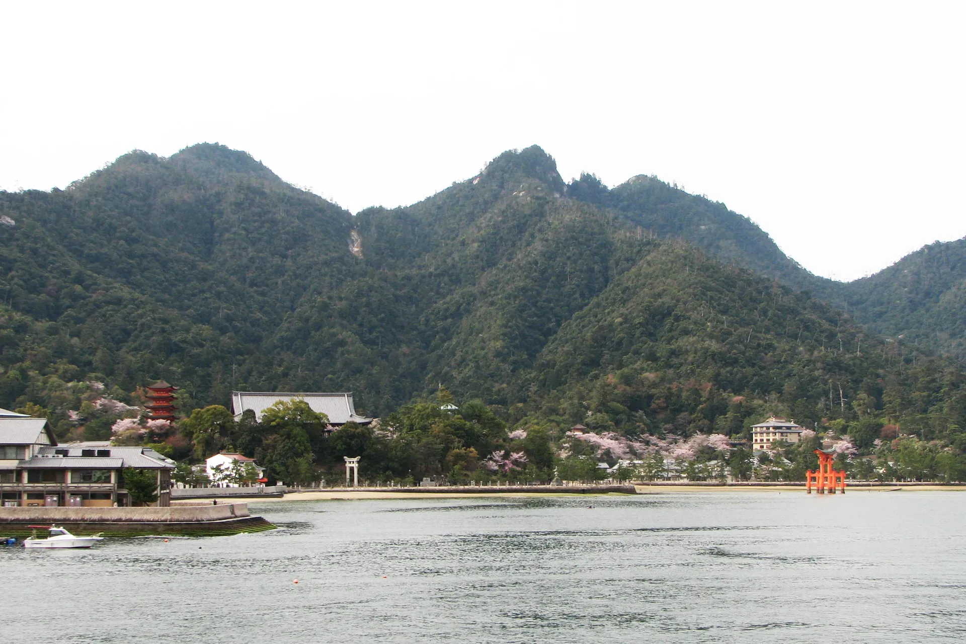 Miyajima Island Full Day