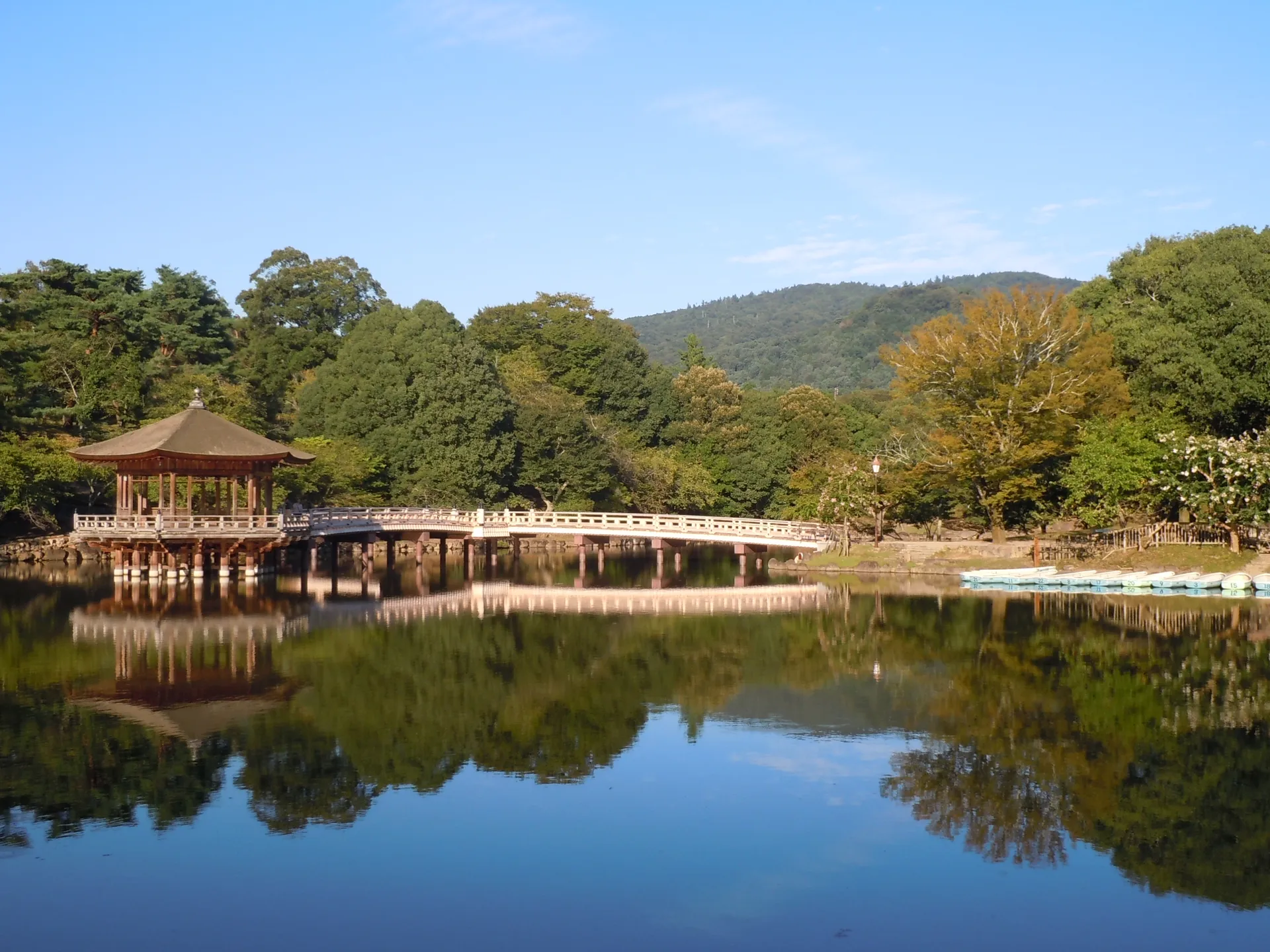 Nara Deer Park & Temple Walk