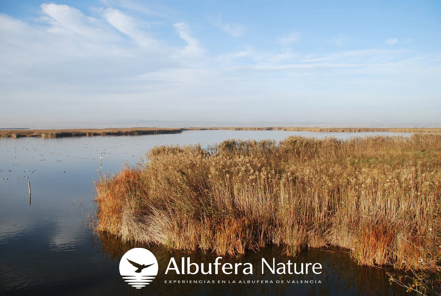 Albufera Natural Park Boat Trip & El Palmar