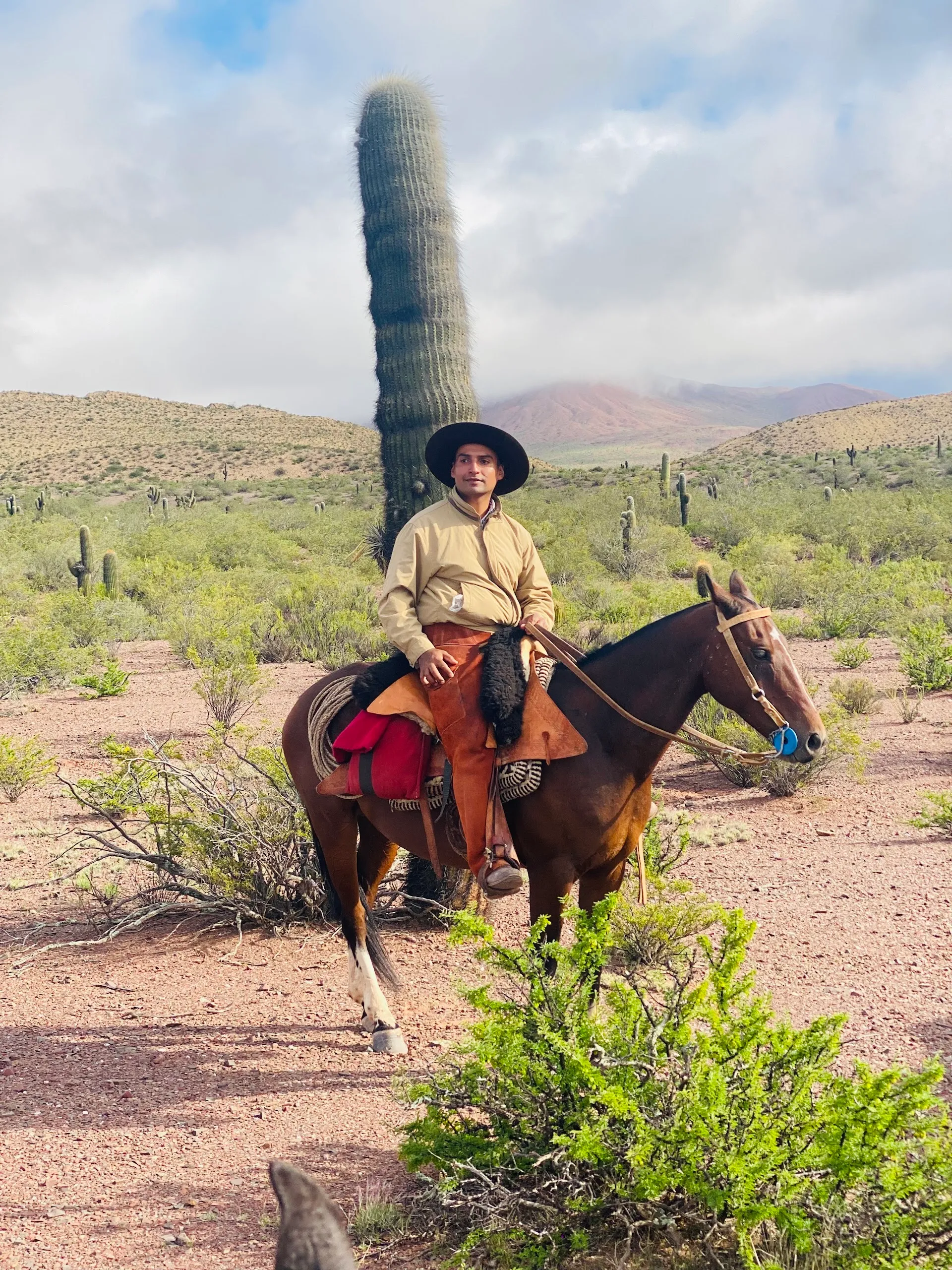 Cabalgatas Patios (horseback riding tour)