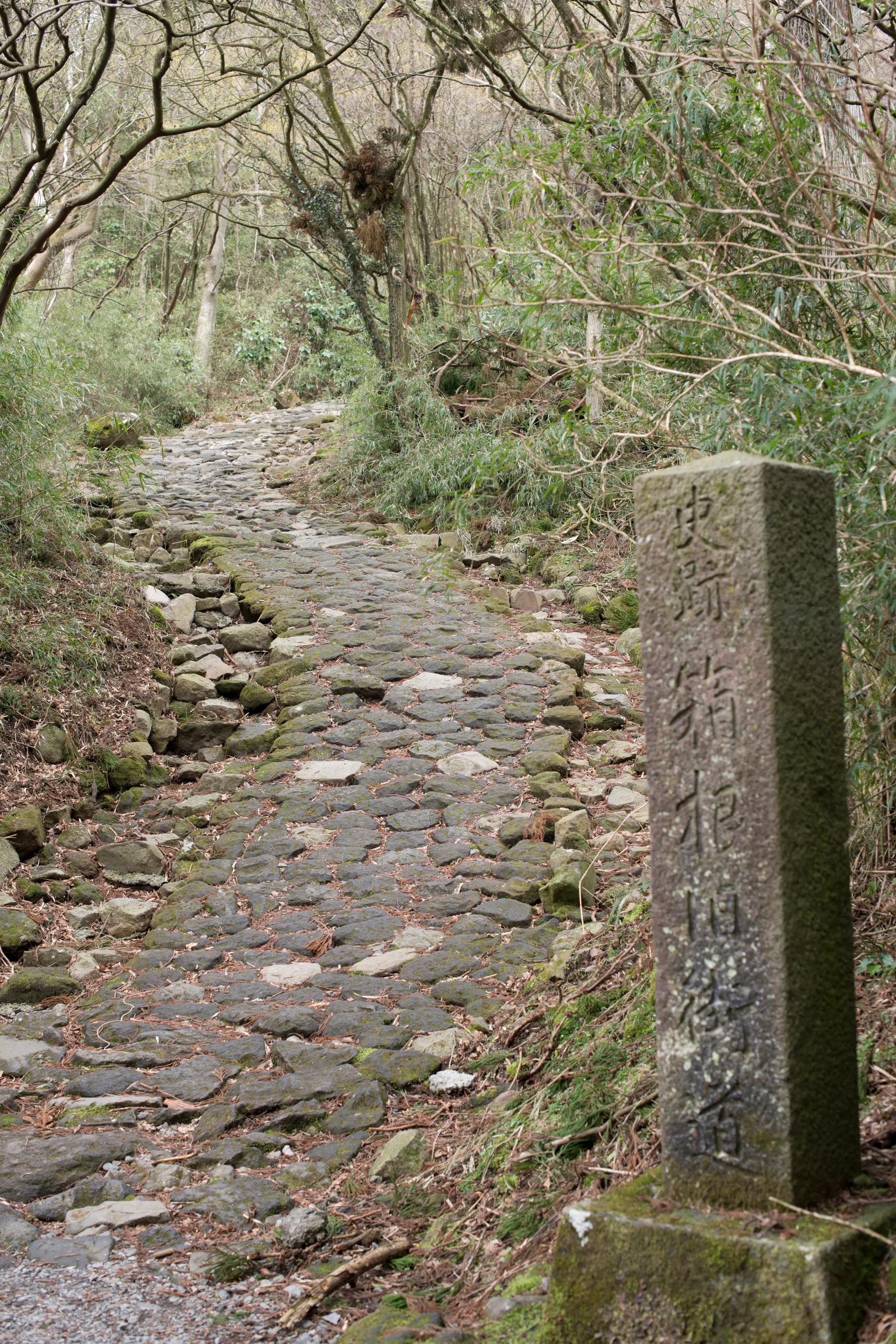 Old Tokaido Road Hiking