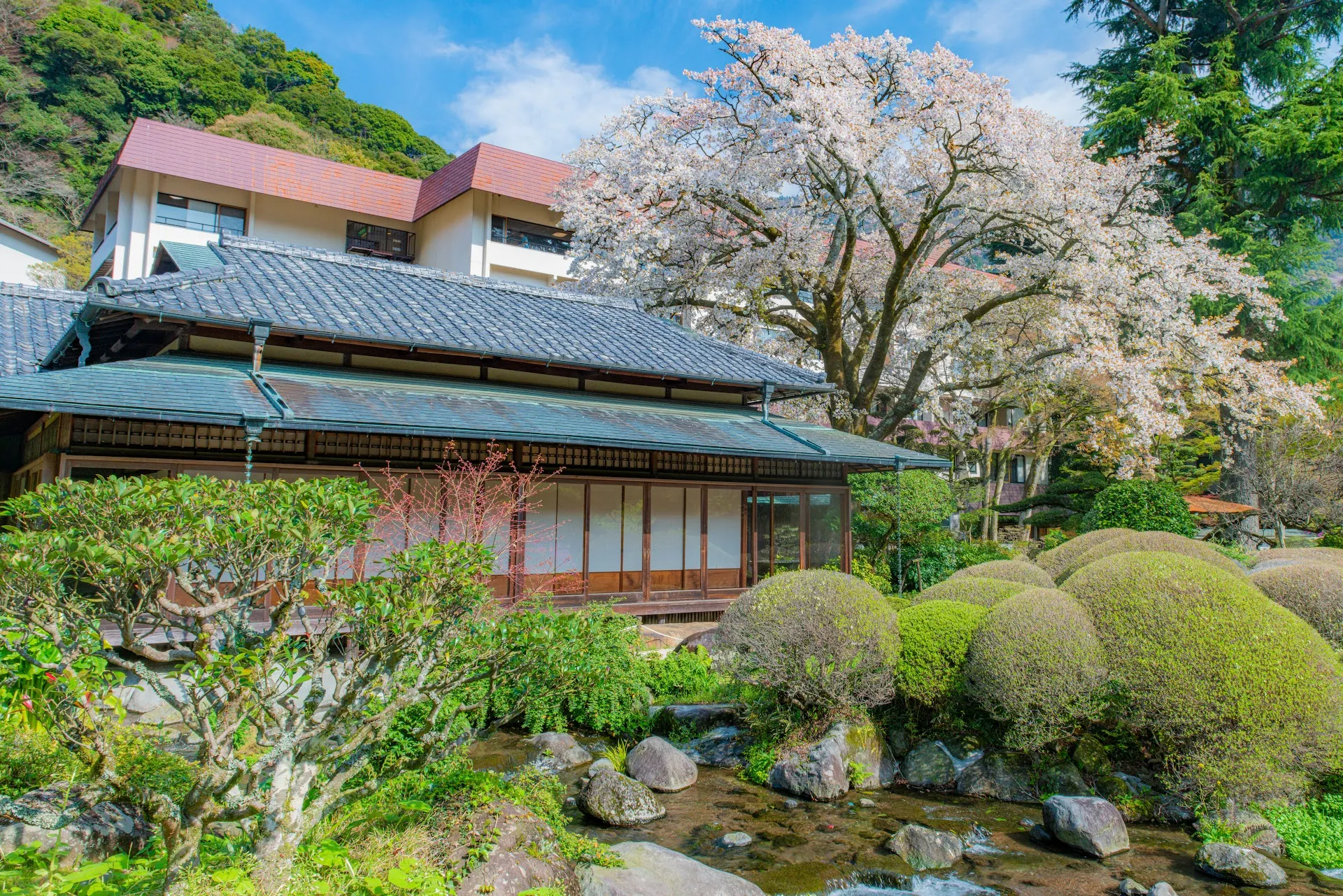 Traditional Ryokan Onsen Experience