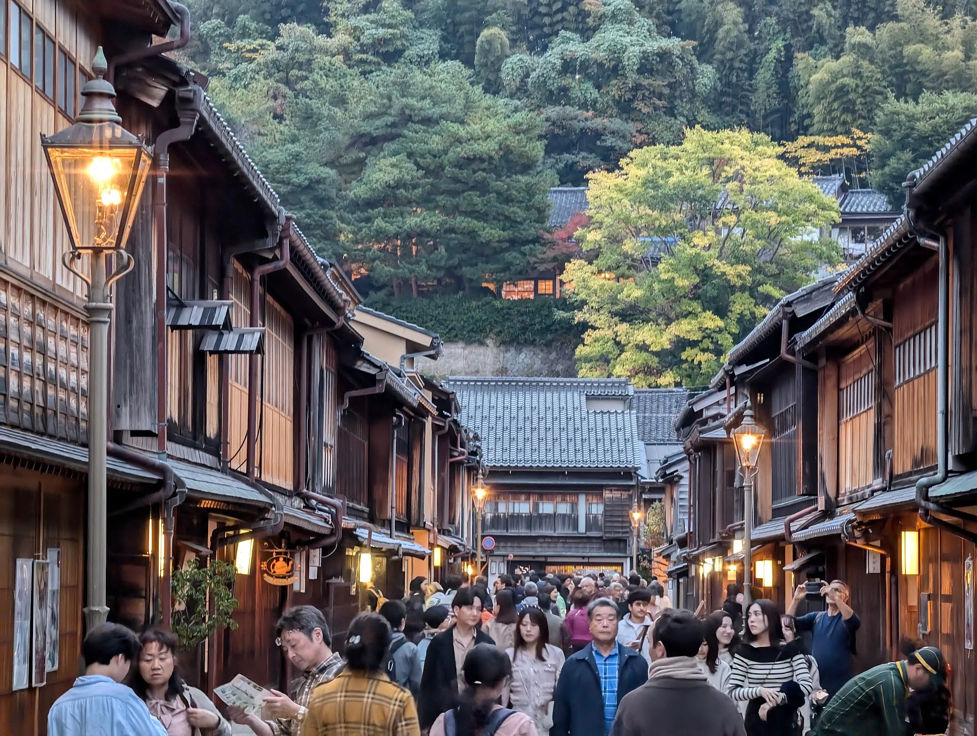 Higashi Chaya & Castle Walking Tour