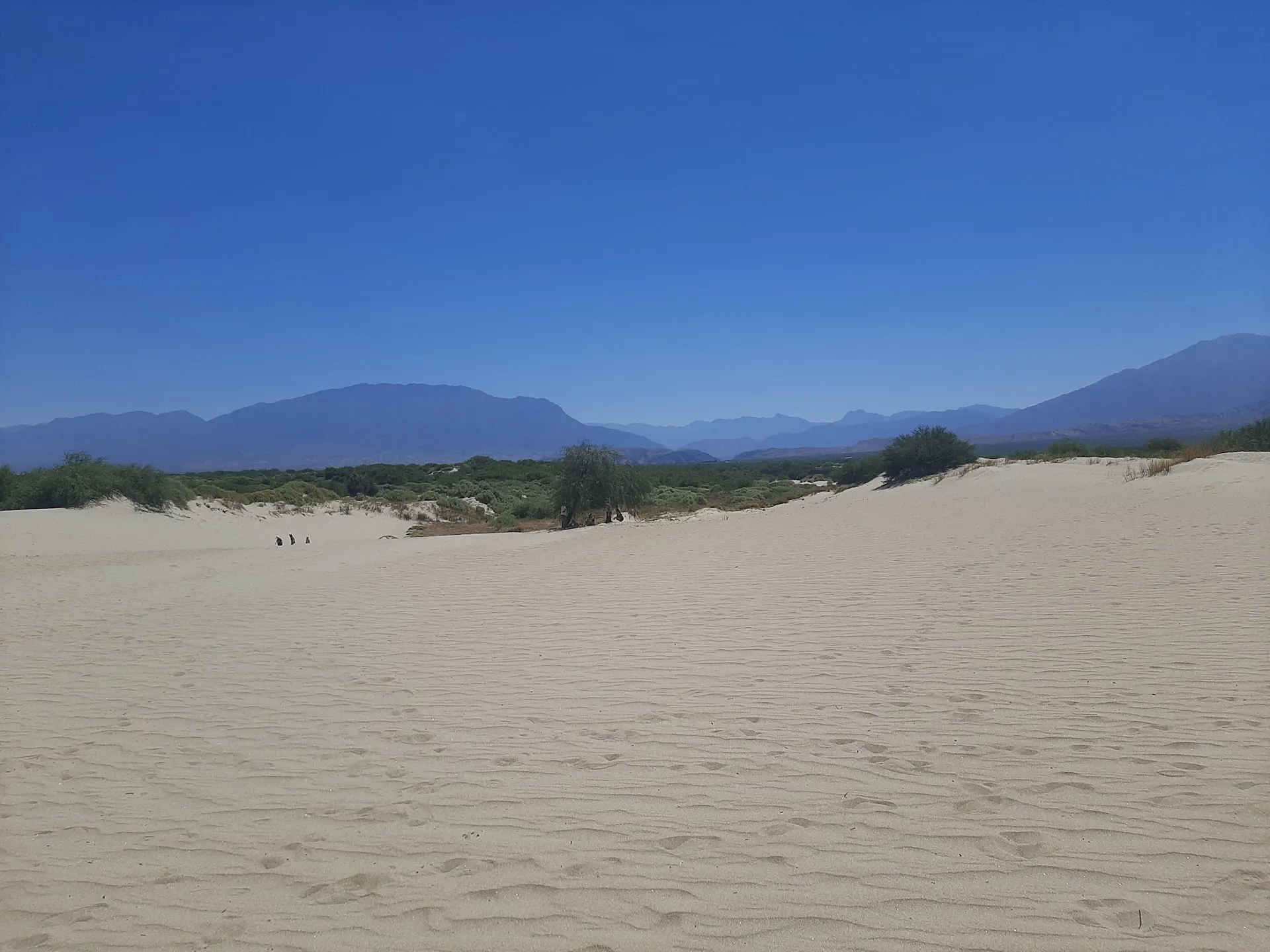 Los Médanos de Cafayate