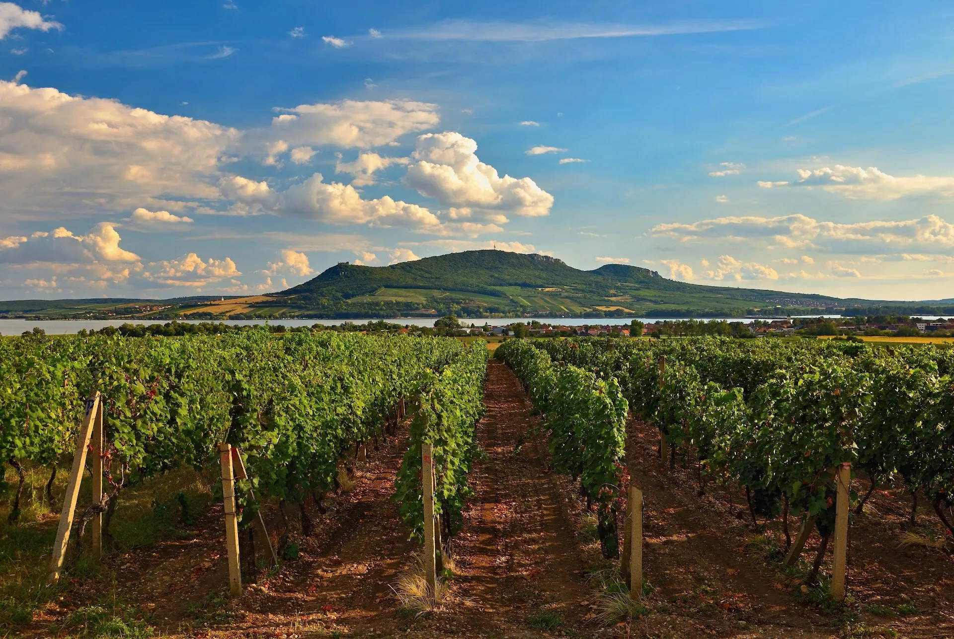 Mikulov & Palava Moravian Wine Country Day Trip
