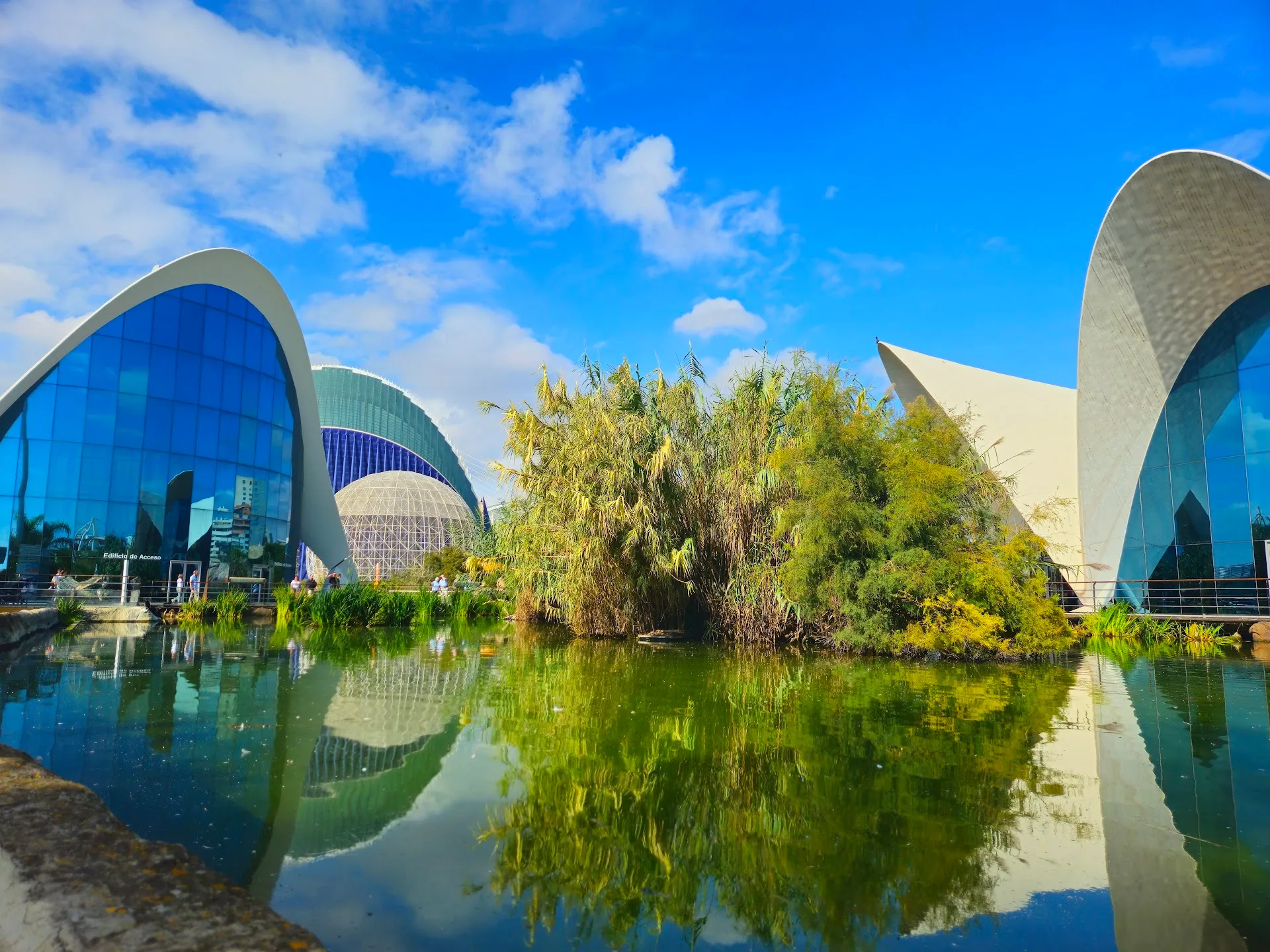 L'Oceanogràfic Aquarium Visit