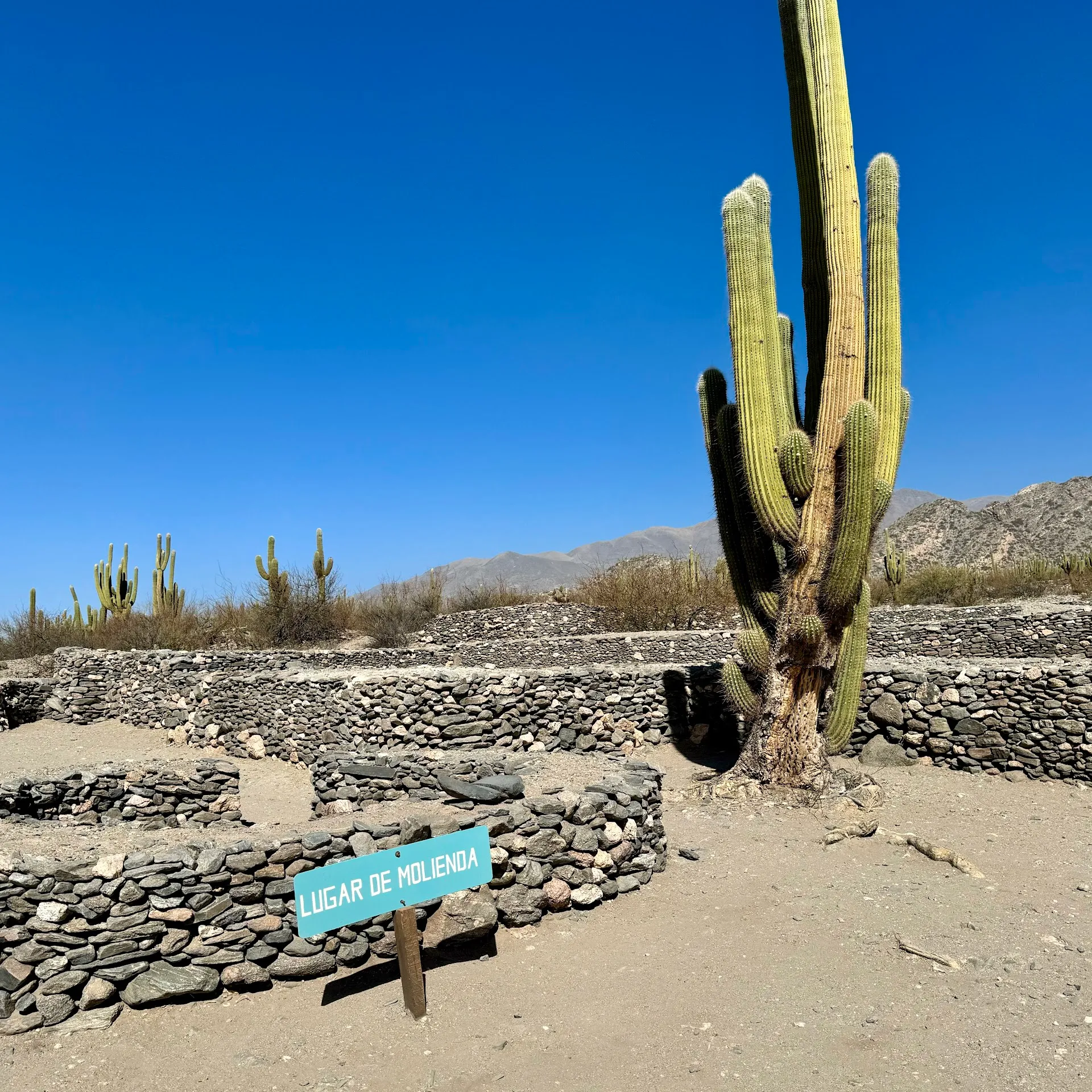 Ruinas de Quilmes (day excursion from Cafayate)