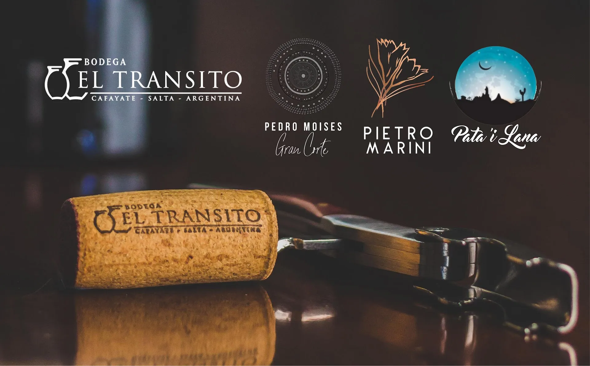 Torrontes Wine Tasting in Cafayate