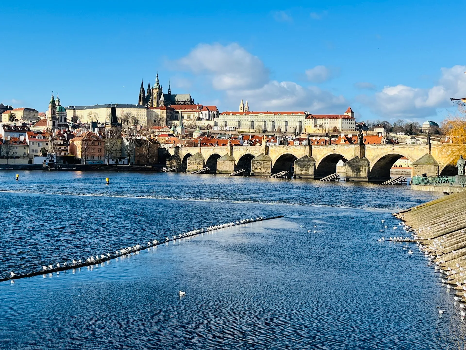 Grand Tour of Czechia: 8-Day Itinerary (Prague to Moravia)
