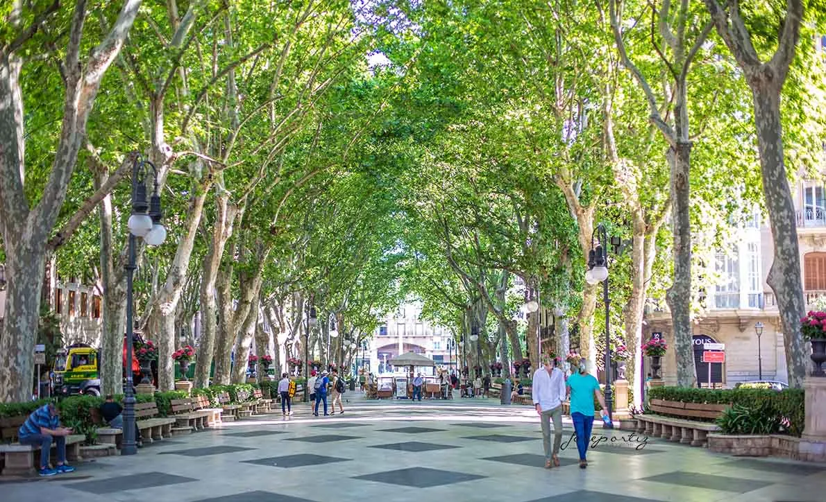 Passeig des Born Boulevard