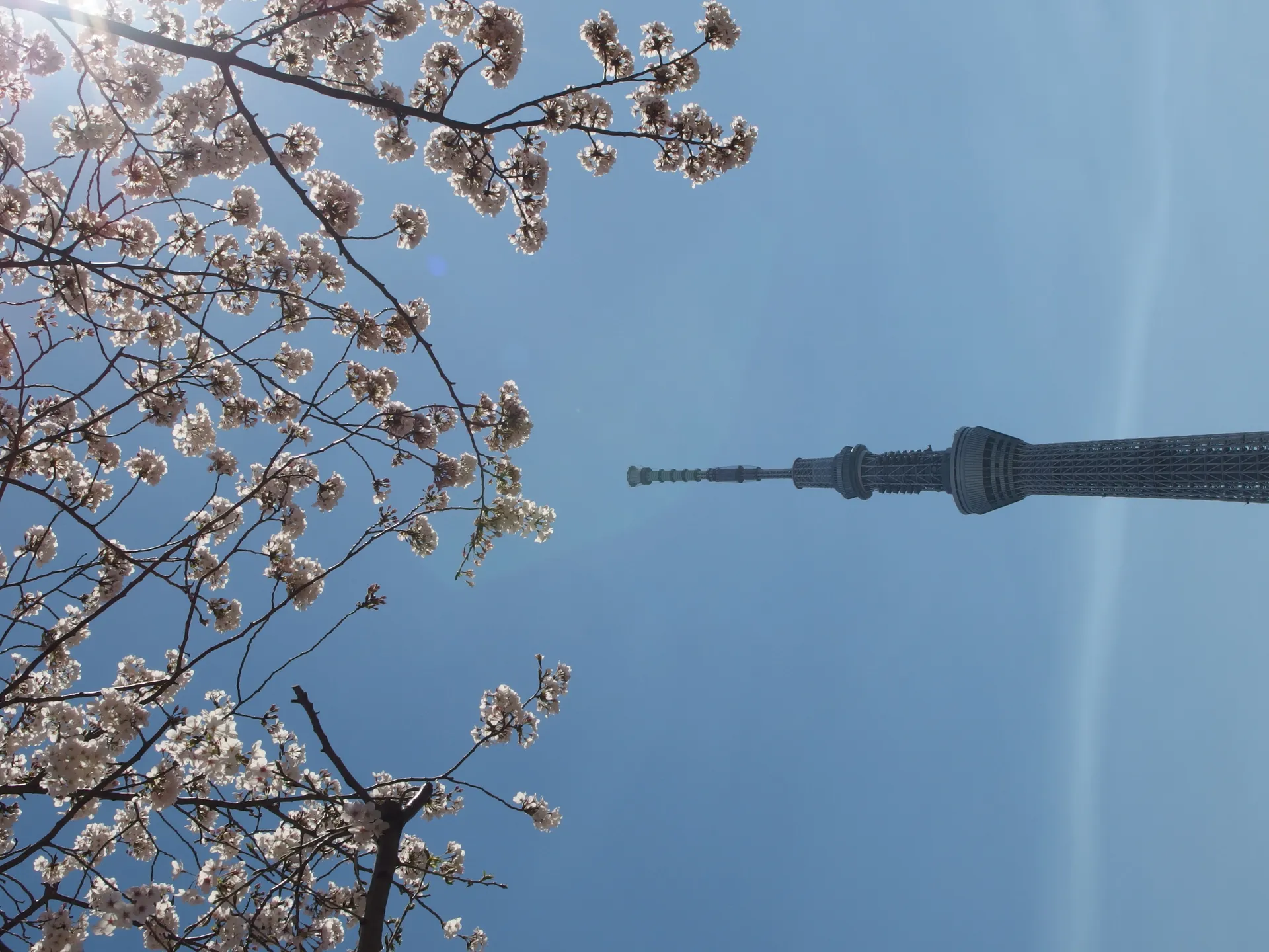 Sumida Park