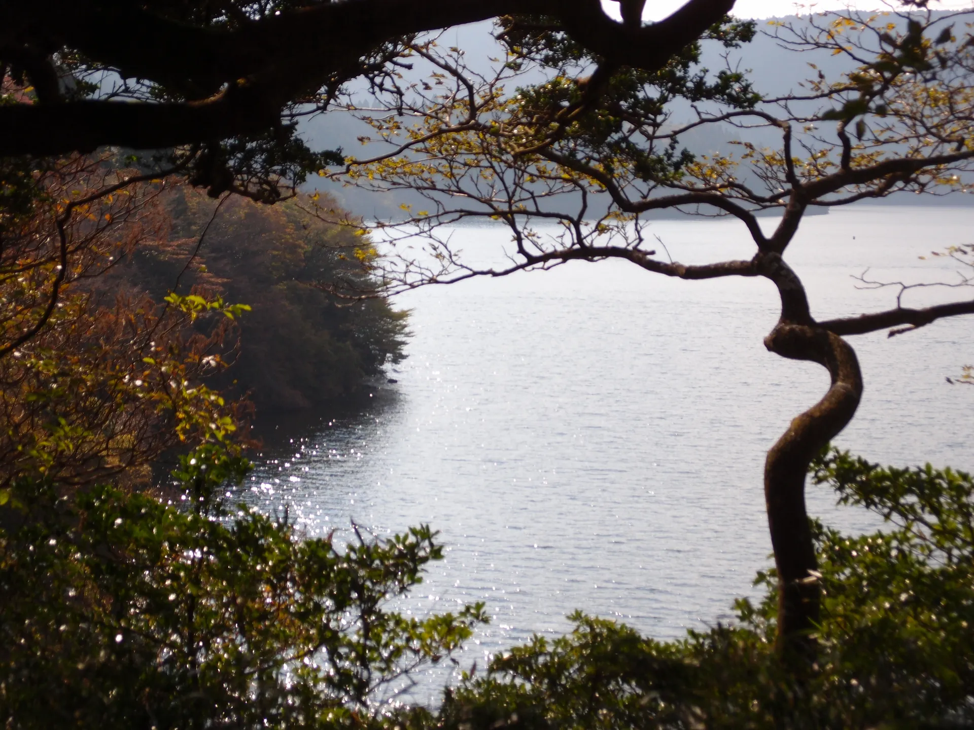 Onshi-Hakone-Koen Park