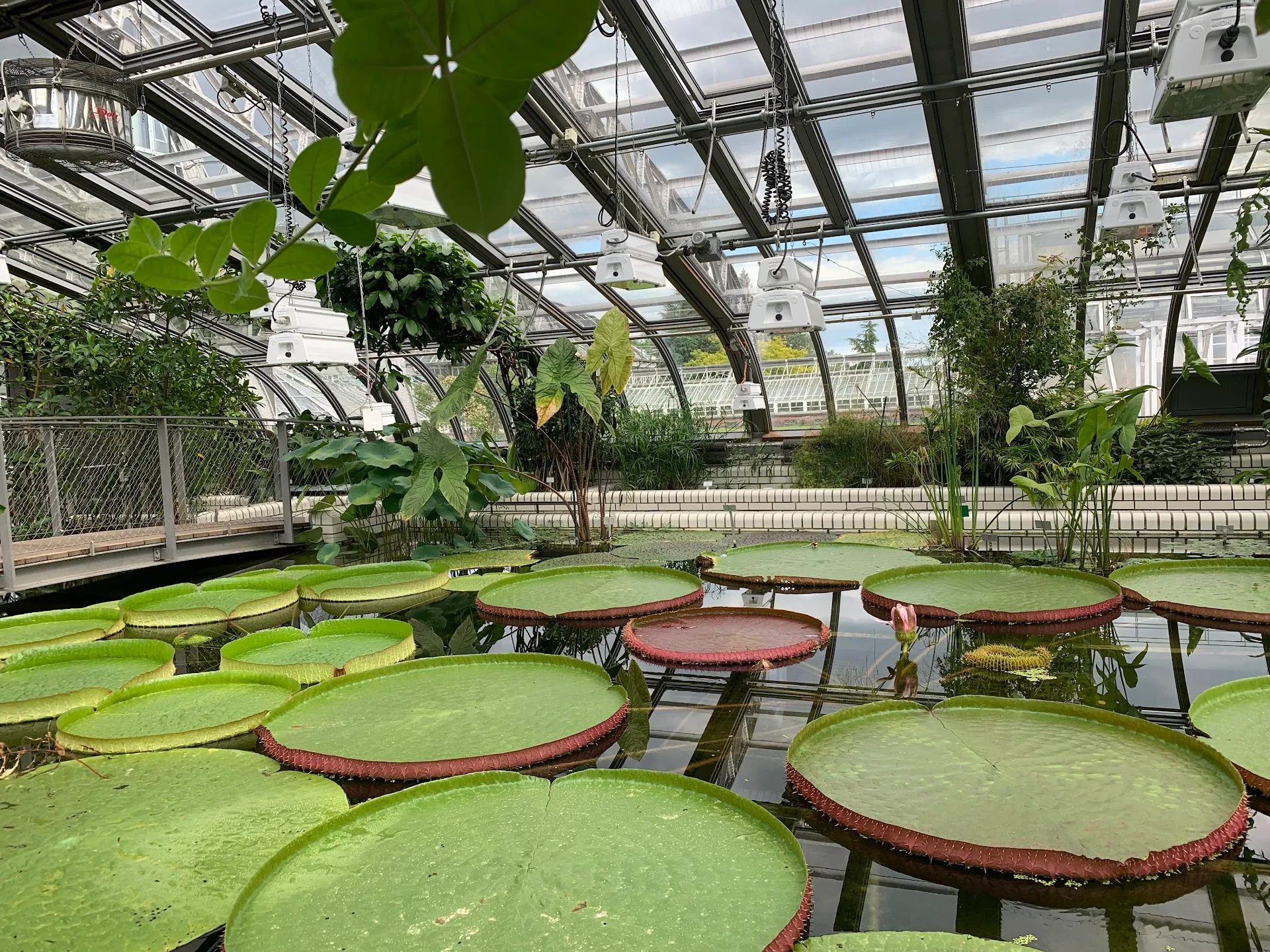 Botanischer Garten Berlin
