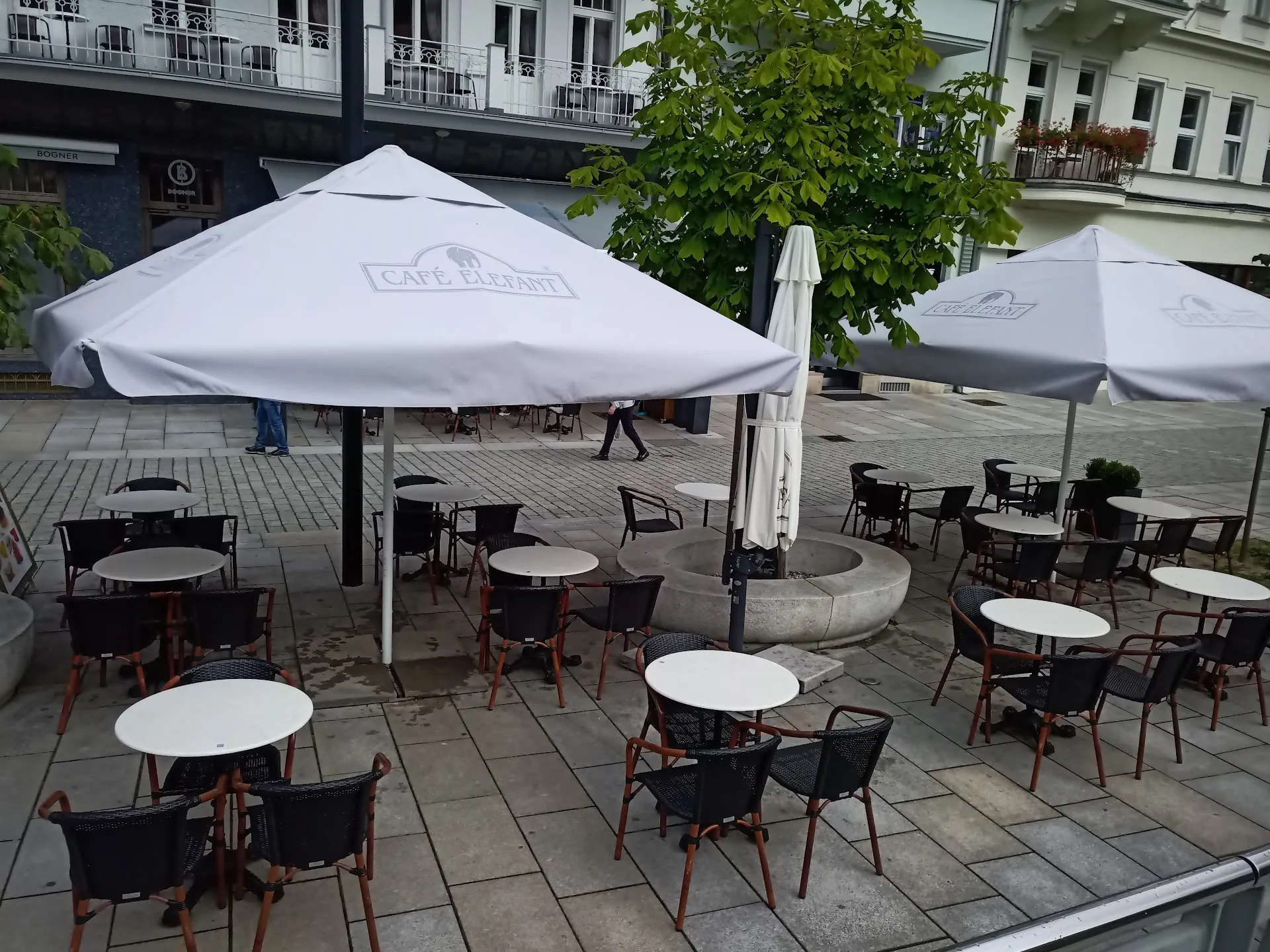 Cafe Elefant