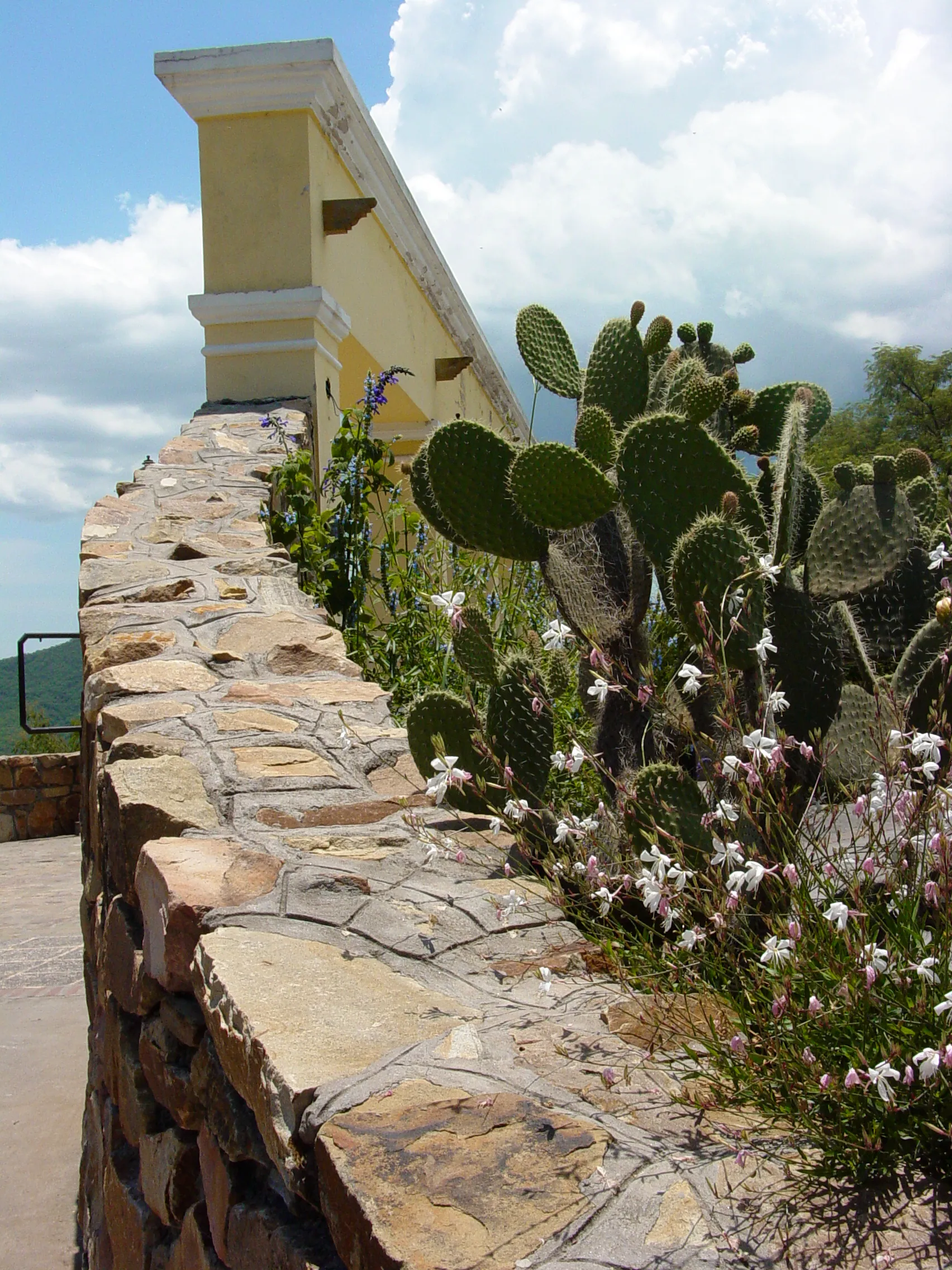 Cerro San Bernardo