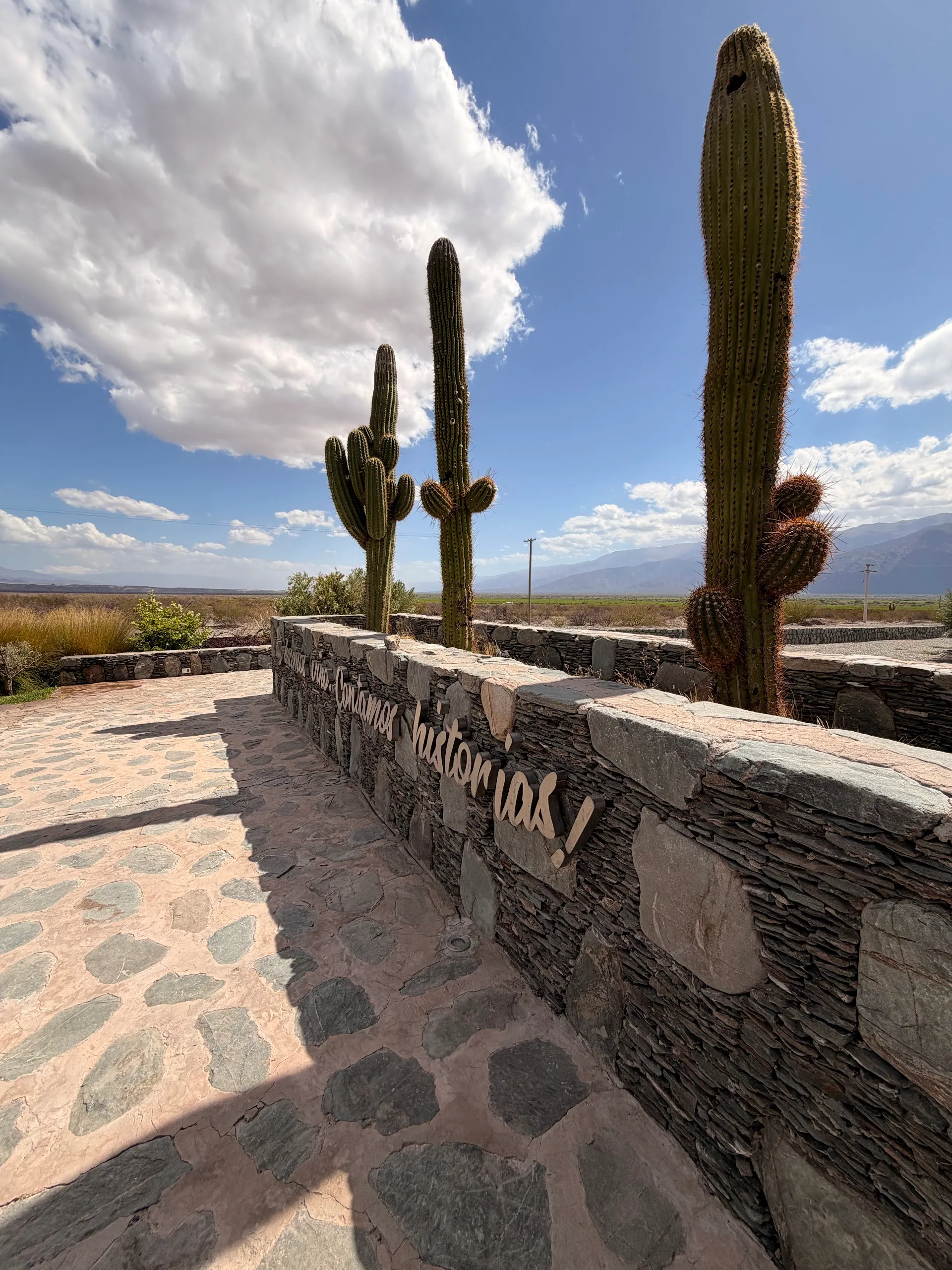 Estancia Los Cardones