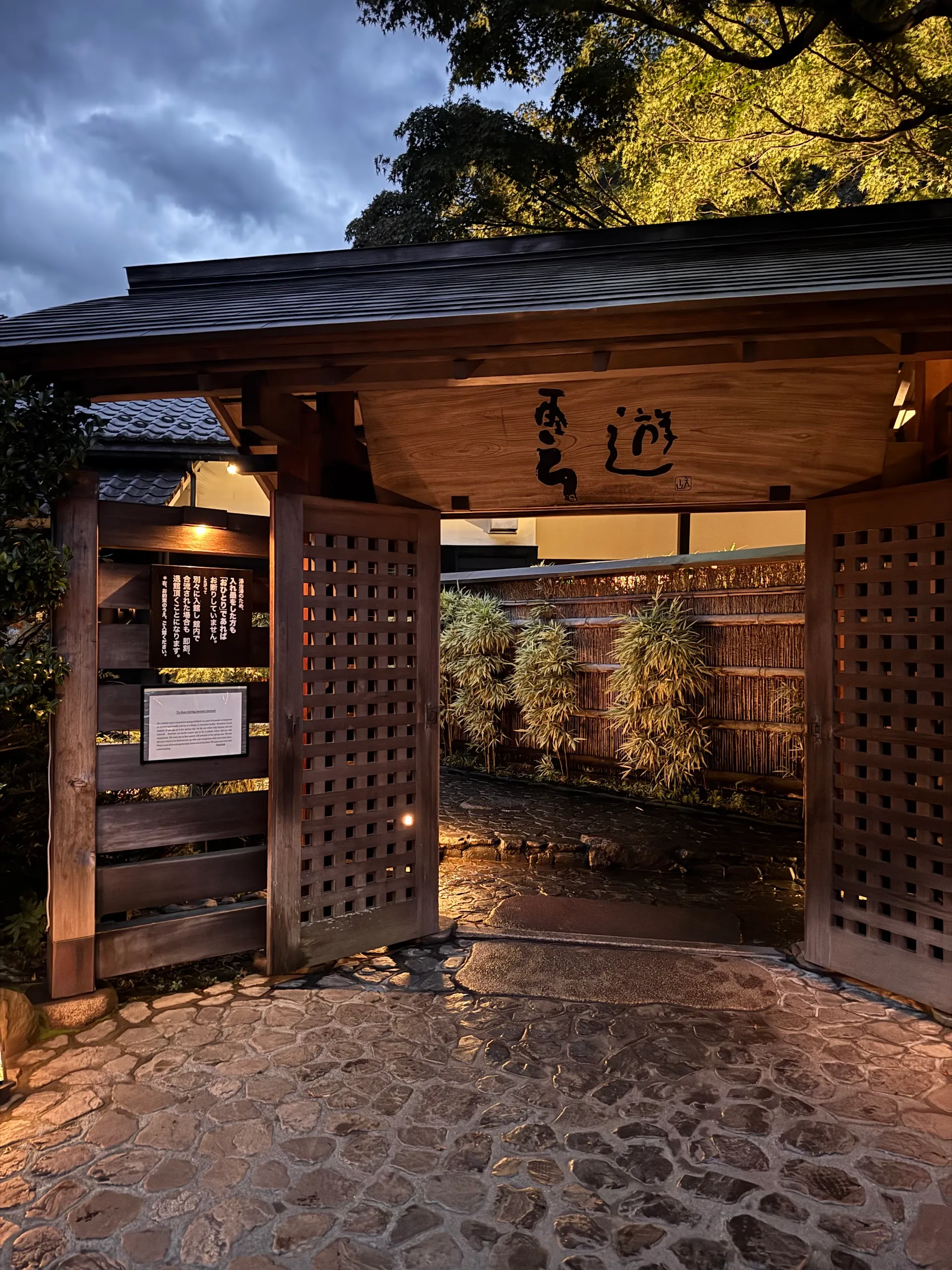 Hakone Onsen (Day Visit)