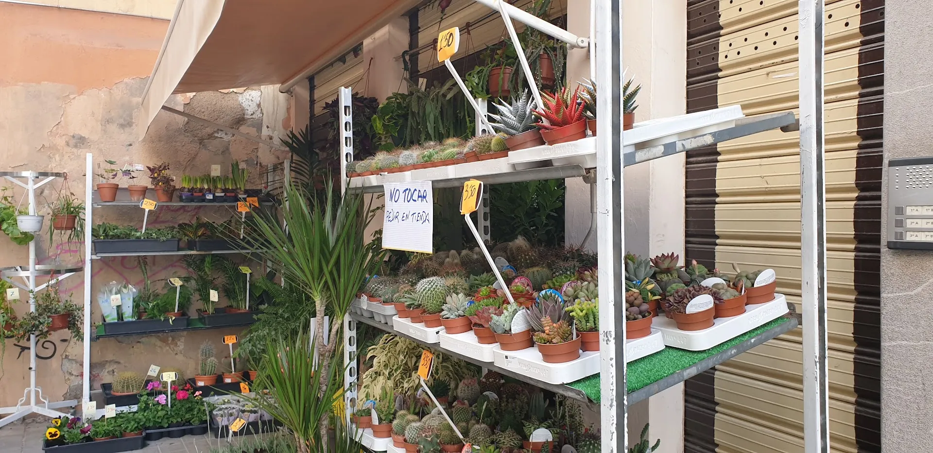 Mercado de San Agustín