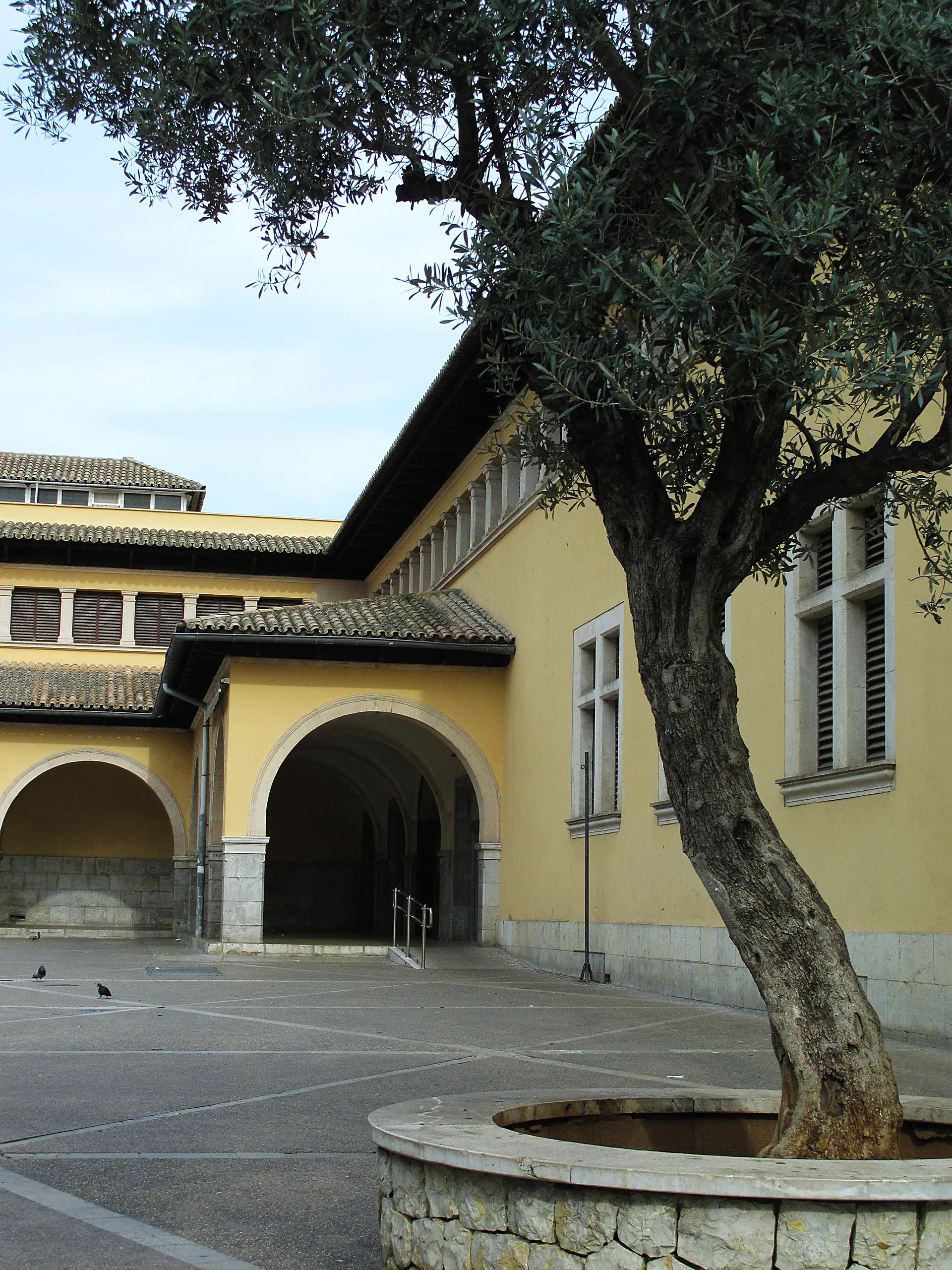Mercat de l'Olivar