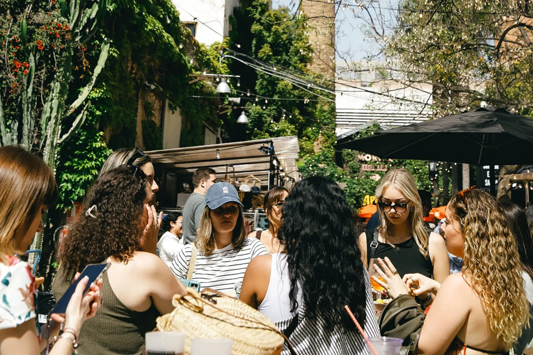Palo Market Fest