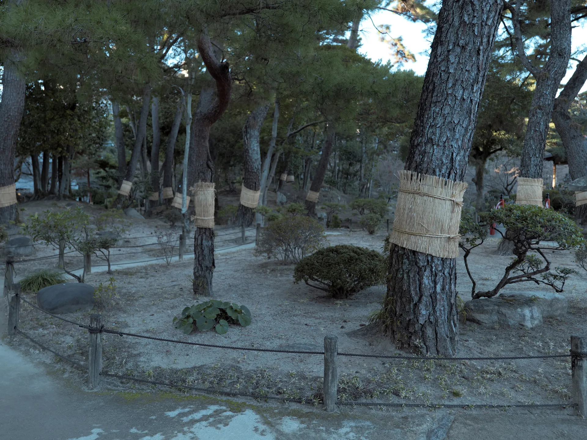 Shukkeien Garden